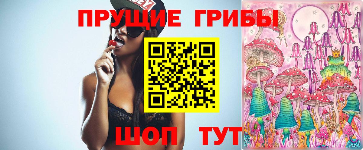 Псилоцибиновые грибы мухоморы  Псилоцибиновые грибы мицелий  Вход с VPN  Ефремов 